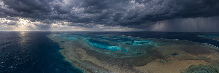 Bridging Indigenous Wisdom and Marine Science at NAIDOC Week