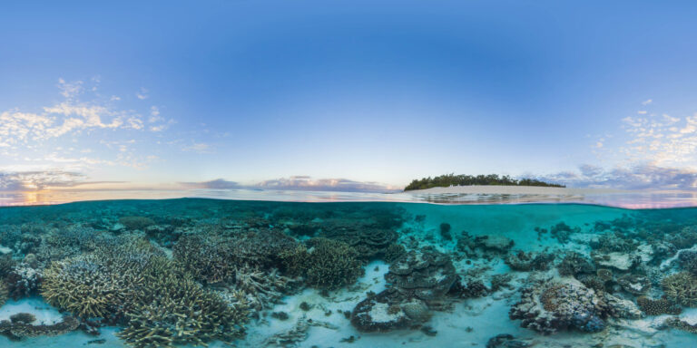Cyclone Alfred Brings a Cool Relief to Lady Elliot Island Coral