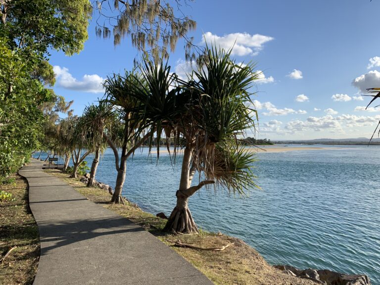 Noosa Oyster Restoration