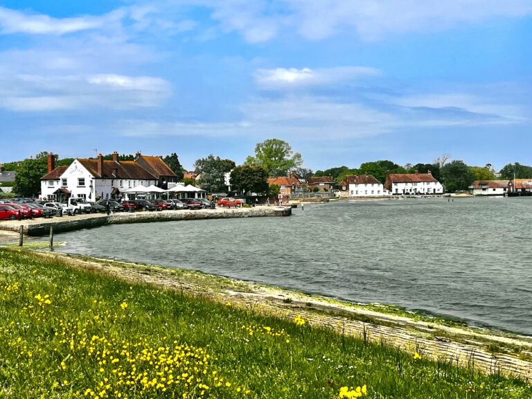 Solent Oyster Restoration